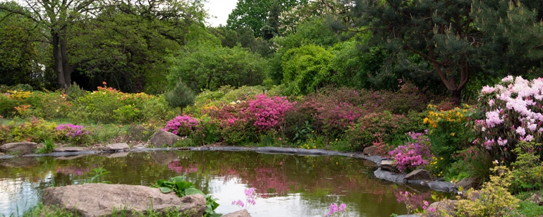 Flowers Planting